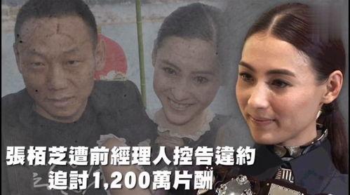 娱乐吃瓜图,吃瓜图背后的惊人真相